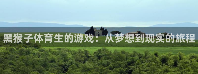 黑猴子体育生的游戏：从梦想到现实的旅程