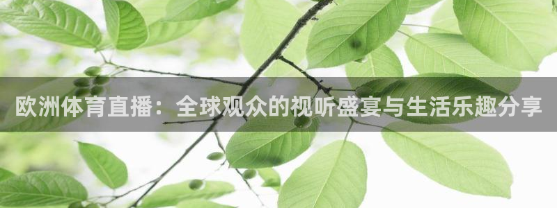 欧洲体育直播：全球观众的视听盛宴与生活乐趣分享