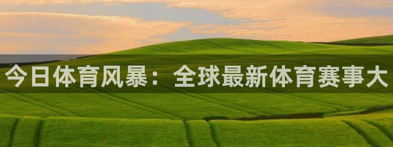 绿茵体育app