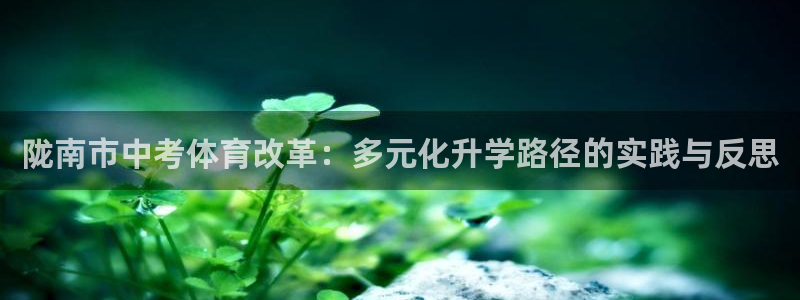 绿茵体育直播免费观看：陇南市中考体育改革：多元化升学路径的实践与反思