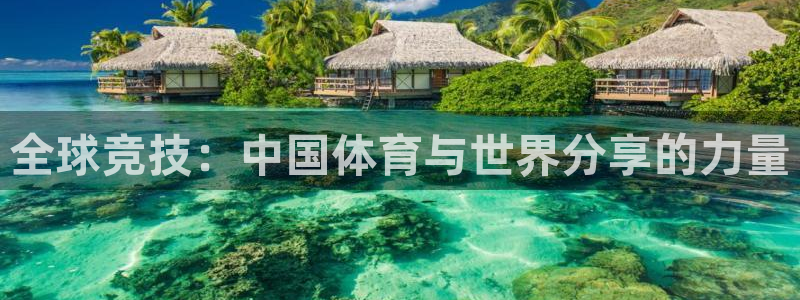 绿茵直播下载：全球竞技：中国体育与世界分享的力量